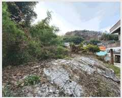  2024Ÿ6433 泲 ֽ 絿 442       ()