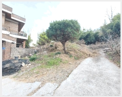  2024Ÿ6433 泲 ֽ 絿 442       ()