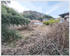  2024Ÿ6433 泲 ֽ 絿 442       ()