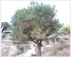  2024Ÿ6433 泲 ֽ 絿 442       ()