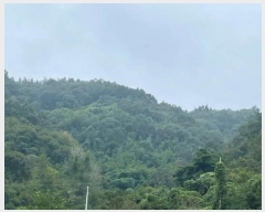  2024Ÿ��6525 �泲 ���ֽ� ������ ������ 286      ����(��)���