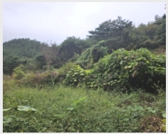  2024Ÿ��6525 �泲 ���ֽ� ������ ������ 286      ����(��)���