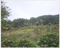  2024Ÿ��6525 �泲 ���ֽ� ������ ������ 286      ����(��)���