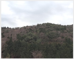  2024Ÿ6761 泲 ر   92-4      (Ӿ)