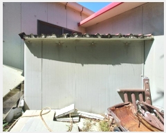  2024Ÿ��33503  ������