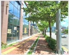  2024Ÿ35288 泲 ֽ  97, 1103ȣ      ,繫ǰ