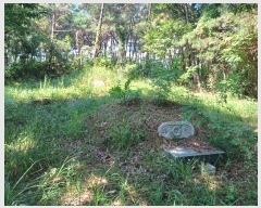  2024Ÿ��37017 �泲 �ϵ��� ������ ���� 9-1      ����(��1)���