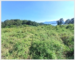  2024Ÿ��37017 �泲 �ϵ��� ������ ���� 9-1      ����(��1)���