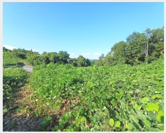  2024Ÿ��37017 �泲 �ϵ��� ������ ���� 9-1      ����(��1)���