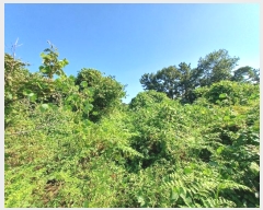  2024Ÿ��37017 �泲 �ϵ��� ������ ���� 9-1      ����(��1)���