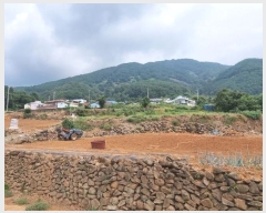  2024Ÿ��37086  �Ӿ߰��