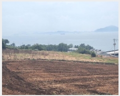  2024Ÿ��37086  �Ӿ߰��