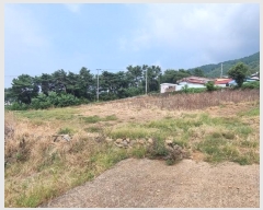  2024Ÿ��37086  �Ӿ߰��