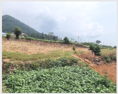  2024Ÿ��37086  �Ӿ߰��