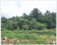  2024Ÿ��37086  �Ӿ߰��