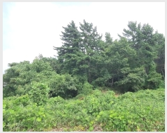  2024Ÿ��37086  �Ӿ߰��