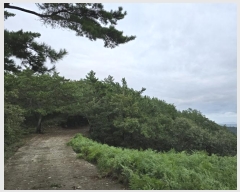  2024Ÿ��37284 �泲 ���ر� â���� ������ ��220      ����(�Ӿ�)���