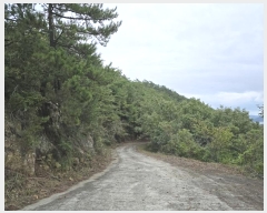  2024Ÿ��37284 �泲 ���ر� â���� ������ ��220      ����(�Ӿ�)���