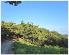  2024Ÿ��37284 �泲 ���ر� â���� ������ ��220      ����(�Ӿ�)���