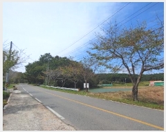  2024Ÿ��37437  �Ӿ߰��