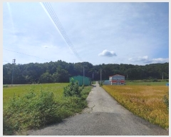  2024Ÿ��37437  �Ӿ߰��