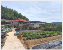  2024Ÿ��37437  �Ӿ߰��