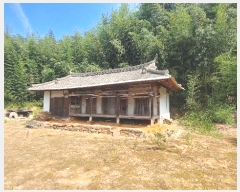  2024Ÿ��37437  �Ӿ߰��