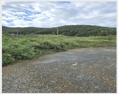  2024Ÿ37567 泲 ر  ׸ 1371-1      (1)