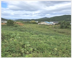  2024Ÿ37567 泲 ر  ׸ 1371-1      (1)