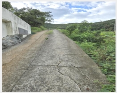  2024Ÿ37567 泲 ر  ׸ 1371-1      (1)