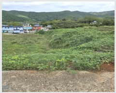  2024Ÿ37567 泲 ر  ׸ 1371-1      (1)