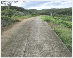  2024Ÿ37567 泲 ر  ׸ 1371-1      (1)