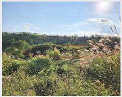  2024Ÿ38003 泲 õ   358-2      (1)