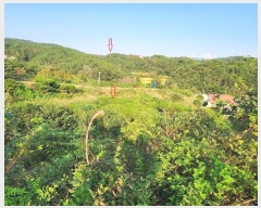  2024Ÿ38003 泲 õ   358-2      (1)