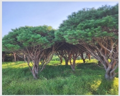  2024Ÿ38003 泲 õ   358-2      (1)