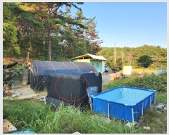  2024Ÿ38003 泲 õ   358-2      (1)