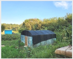  2024Ÿ38003 泲 õ   358-2      (1)