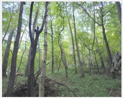  2024Ÿ38201 泲 õ  踮 60-3      (Ӿ)