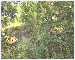  2024Ÿ38201 泲 õ  踮 60-3      (Ӿ)