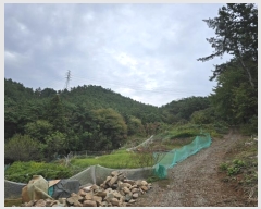  2024Ÿ38201 泲 õ  踮 60-3      (Ӿ)