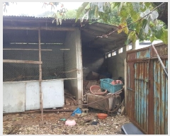  2024Ÿ38393 泲 ֽ  ︮ 810-1      ð