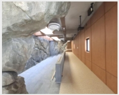  2024Ÿ38676 泲 õ  175-2       ٸü,󰡰