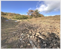  2024Ÿ38829 泲 õ   348      (Ӿ)