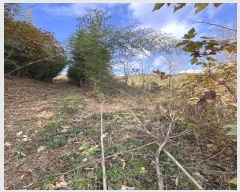  2024Ÿ38829 泲 õ   348      (Ӿ)