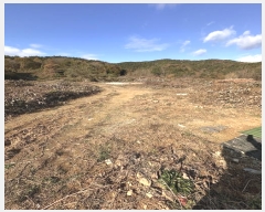  2024Ÿ38829 泲 õ   348      (Ӿ)