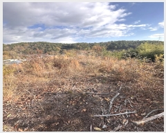  2024Ÿ38829 泲 õ   348      (Ӿ)