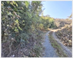  2024Ÿ38829 泲 õ   348      (Ӿ)