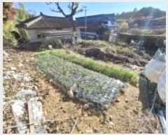  2024Ÿ38935 泲 ֽ ̸ ฮ 481      (Ӿ)