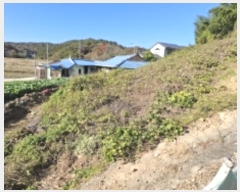  2024Ÿ38935 泲 ֽ ̸ ฮ 481      (Ӿ)