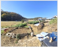  2024Ÿ38935 泲 ֽ ̸ ฮ 481      (Ӿ)